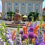 Apartmán Fehervar Cappuccino Center, Ac, Easy Parking *