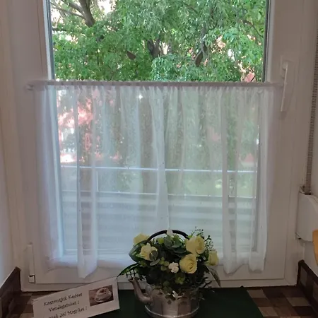 Apartment Fehervar Cappuccino Center, Ac, Easy Parking *