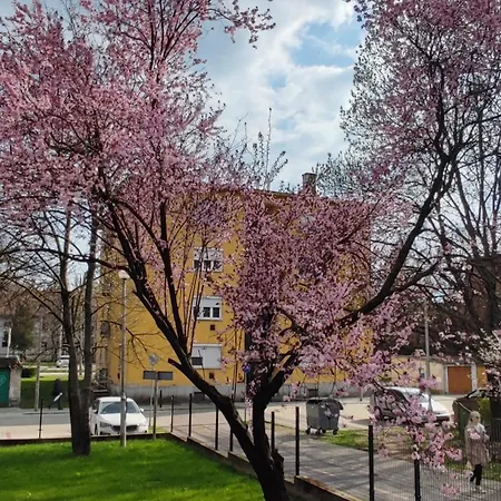 Fehervar Cappuccino Center, Ac, Easy Parking Apartment Szekesfehervar