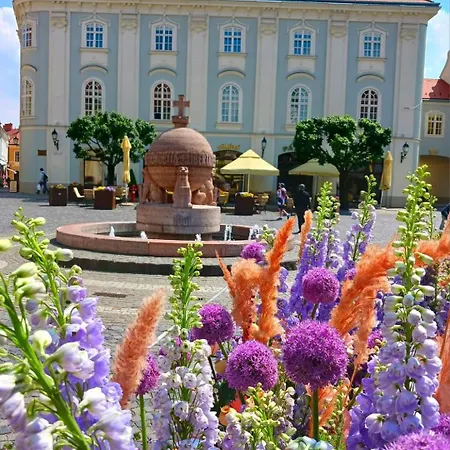 Apartment Fehervar Cappuccino Center, Ac, Easy Parking *
