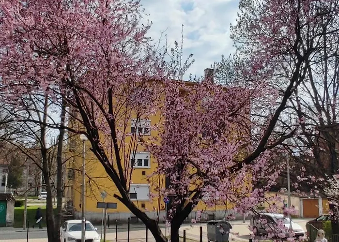 Fehervar Cappuccino Center, Ac, Easy Parking Apartmán Székesfehérvár