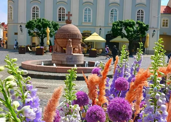 Apartmán Fehervar Cappuccino Center, Ac, Easy Parking *