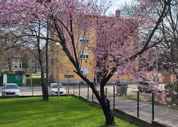Fehervar Cappuccino Center, Ac, Easy Parking Apartament *
